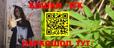 стаф Кандалакша