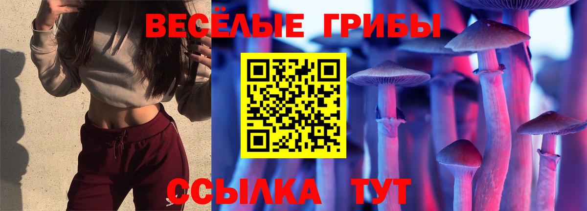 Псилоцибиновые грибы Cubensis  Вход с VPN  Курчатов 
